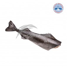 SPC 5-7lb 銀鱈魚