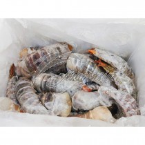 500-700g New Guinea Raw Lobster Tail