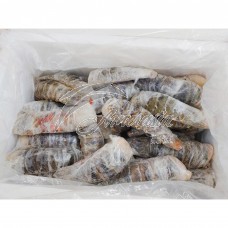 400-500g New Guinea Raw Lobster Tail