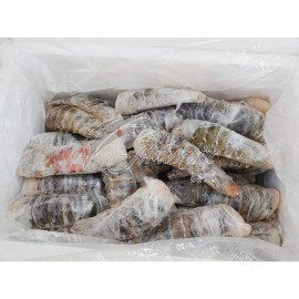 400-500g New Guinea Raw Lobster Tail