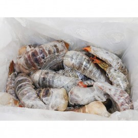500-700g New Guinea Raw Lobster Tail